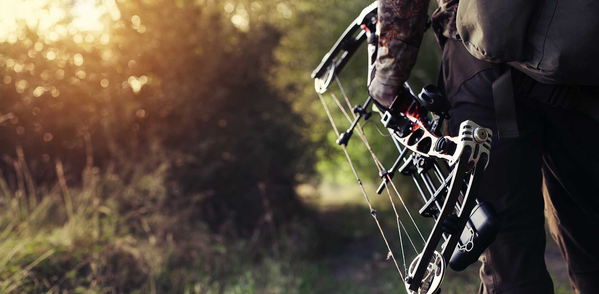 Guide to Choosing the Best Bow Release Guide to Choosing the Best Bow Release