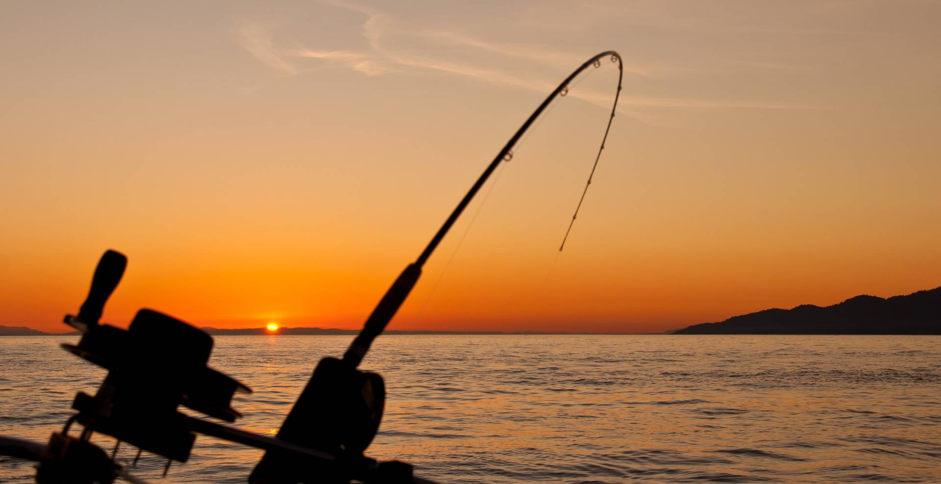 The Best Times to Fish for the Most Bites The Best Times to Fish for the Most Bites