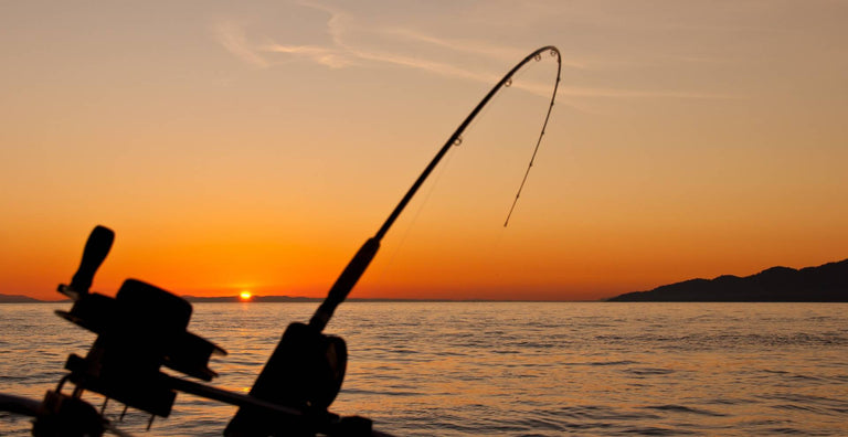 The Best Times to Fish for the Most Bites The Best Times to Fish for the Most Bites