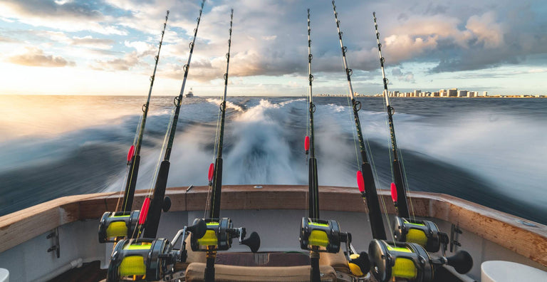 Types of Fishing Lines Explained Types of Fishing Lines Explained