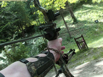 The best crossbow of 2021