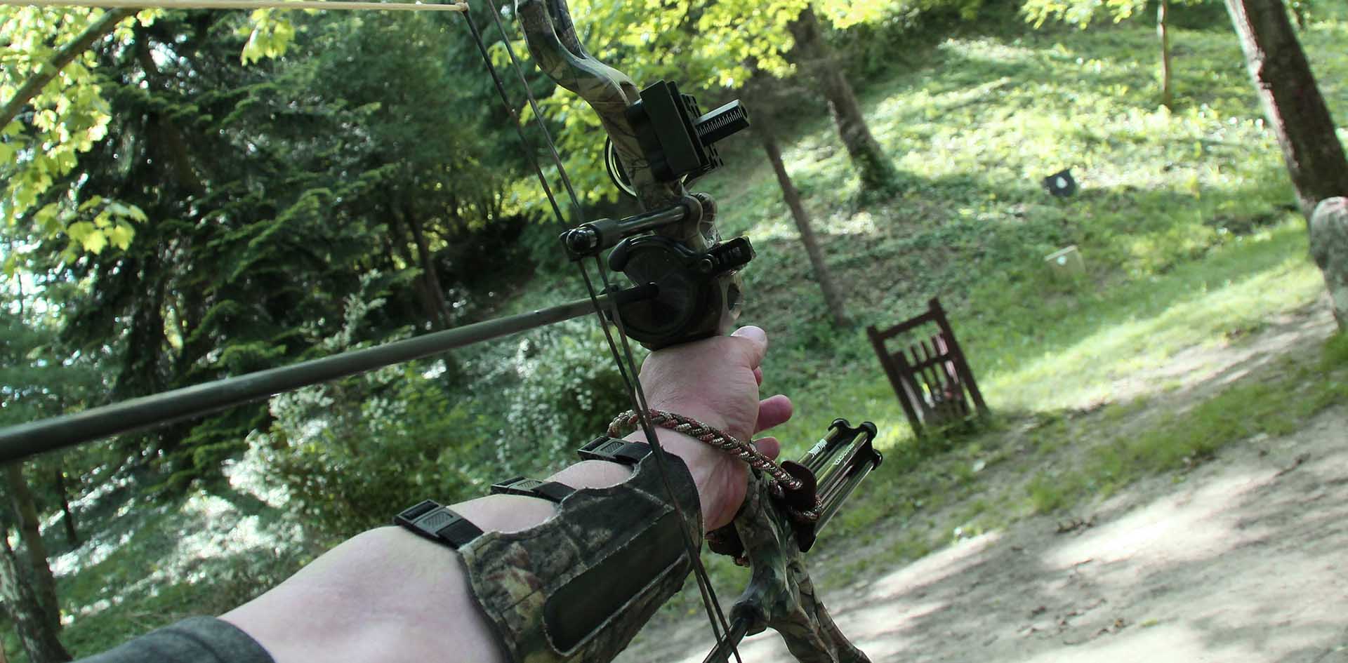 The best crossbow of 2021