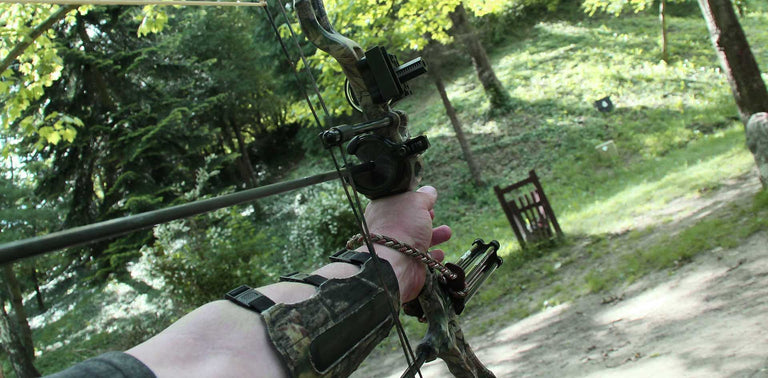 The best crossbow of 2021