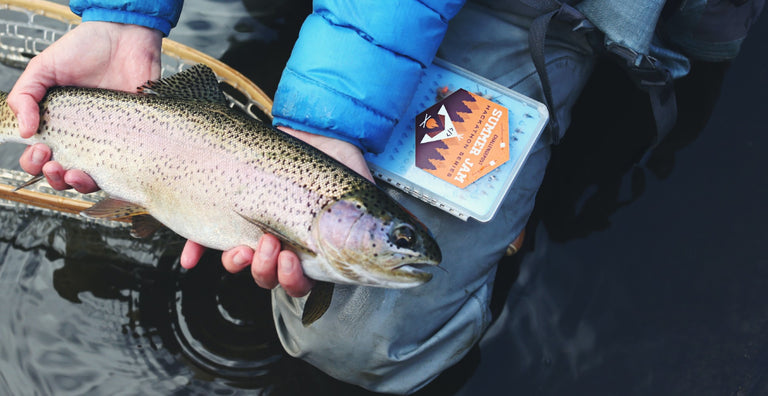 Best Bait to Use for Fishing Bass