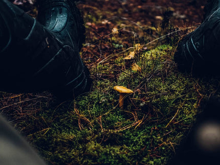 How to Choose The Best Hunting Boots