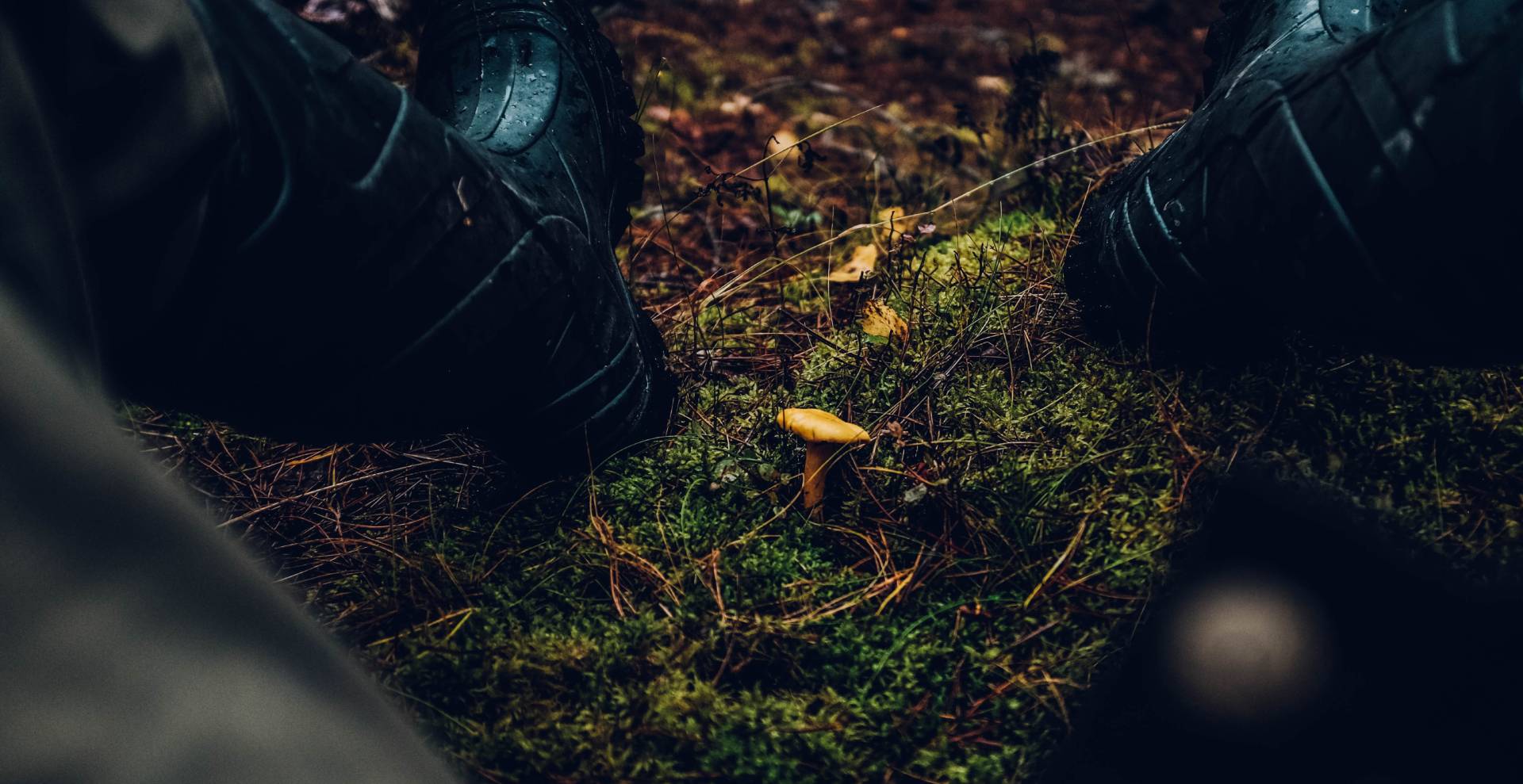 How to Choose The Best Hunting Boots
