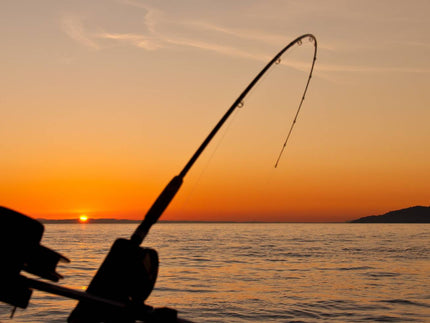 The Best Times to Fish for the Most Bites