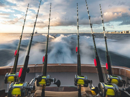 Types of Fishing Lines Explained