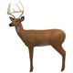 Real Wild Alert Deer Target W/ Replaceable Vital